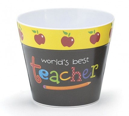 Teacher Gifts  0485303 Worlds Best Teacher Pot Cover 