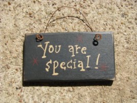1004S- You are Special mini wood sign 