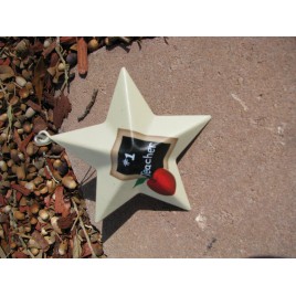 Metal Teacher Christmas Ornament OR205 - #1 Teacher 