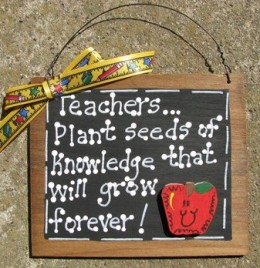 Teacher Gift 80 Teacher Plant Seeds of knokwledge that will grow forever Teacher Slate