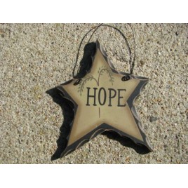 WD806 - Hope Star 